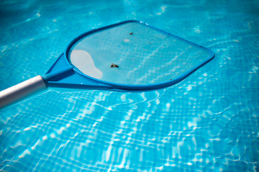 How to keep bugs (especially mosquitos) out of your swimming pool!
