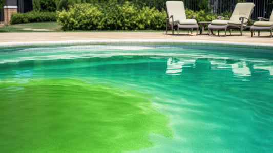 Algae in Your Pool: Types, Causes and How to Prevent It